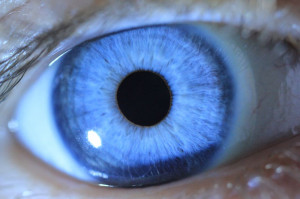 Engineers take first step towards augmented-reality contact lenses