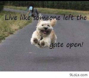 ... funny kids, funny moments, funny pictures, funny quotes funny comics