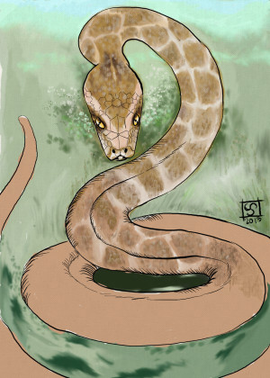 Daily Sketch Challenge Gallery