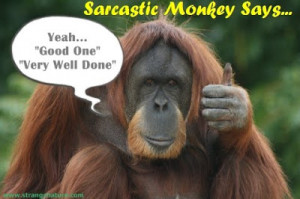 Sarcastic Monkey Picture lol! He's got one of these 