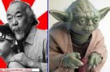 Yoda or Mr miyagi?