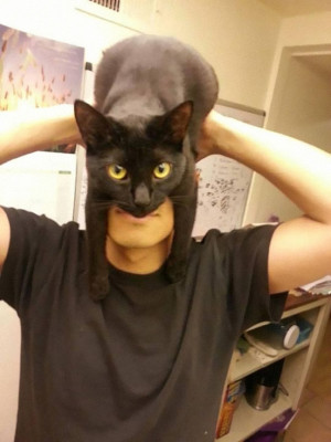 CATMAN: Guy Shows How To Look Like Batman Using Your Cat
