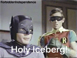 Funny Robin Holy Quotes