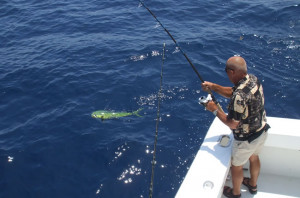 Deep Sea Gulf Fishing Photos