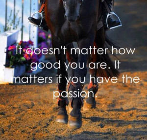 horse quotes | via Tumblr