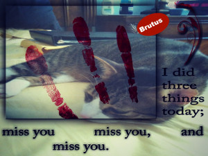 ... me that brutus is doing ok i know that but he is our baby and i do