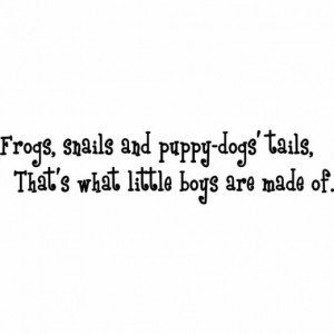 Frogs, Snails & Puppy Dog Tails...Baby Boy Wall Quote
