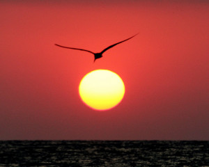 Summer And Winter Solstices