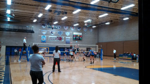 team quotes displaying 19 gallery images for volleyball ball tumblr