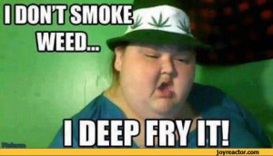 don't smoke weed i deep fry it / weed :: funny pictures :: stoner ...