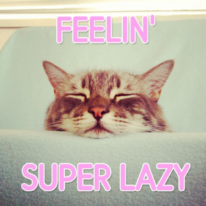 Lazy Sunday Cat Fun Quote HiddenFashion