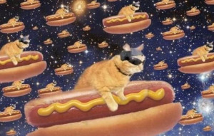 Gonna get a hot dog!! Disco fool!!