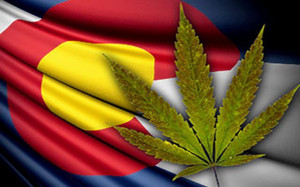 Colorado Accepting Licenses for Recreational Pot Shops