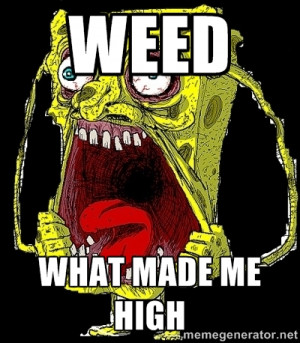 Weed what made me high | Spongebob