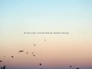 Facebook Twitter Google Tumblr