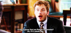 ... chris pratt fly andy dwyer window parks and recreation gif goose parks