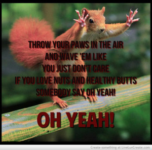 animal, cute, funny, meme, pretty, quote, quotes, squirrel funny