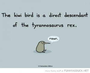 funny pics pictures pic picture image photo images photos lol humor