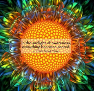 In the sunlight of awareness, everything becomes sacred.