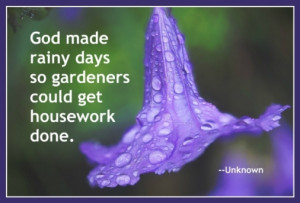 one of many inspirational spring gardening quotes about rainy days