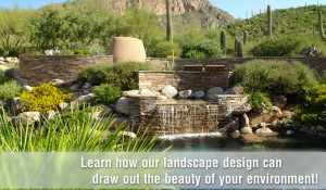 Landscaping Tucson Maintenance And Installation Arcadia Landscape