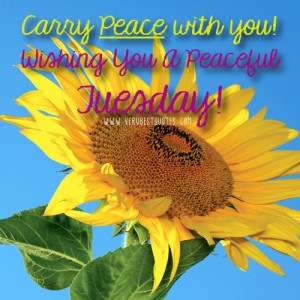Tuesday Good Morning Wishes - Carry Peace With You - Wishing You A ...
