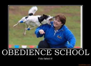 photo obedience-school-humor-funny-sex-te.jpg