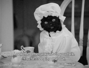 ... the teenage witch 90s # show # salem cat # funny # black cat # quote