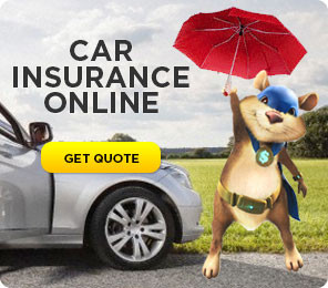 This is by far the best website for car insurance renewal.