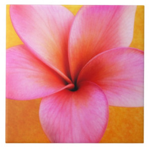 Pink Plumeria Frangipani Hawaii Flower Hawaiian Tiles