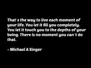Michael singer quote.jpg
