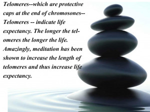 True Facts About Meditation Quotes Wallpaper