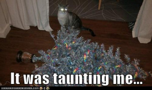 The Xmas tree had to die, says laser cat.