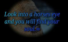 Look into a horses eye and you will find you're soul More