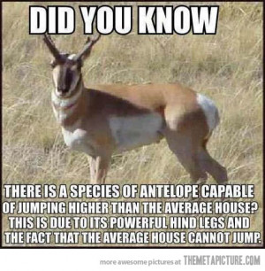 Funny photos funny did you know fact