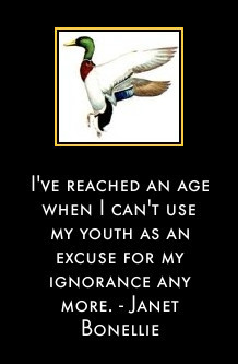 ... use my youth as an excuse for my ignorance any more. - Janet Bonellie