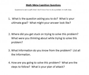 Meta-cognition questions