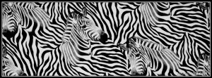 Zebra Pattern Facebook Cover