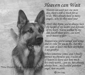 ... waiting. Friends, Animals Pets, Pets Prayer, Dogs Heavens, Dogs Lovers