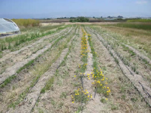 Funny Quotes Contact Dmca...