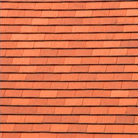 shingles on the chest wall causes prolactin to elevate