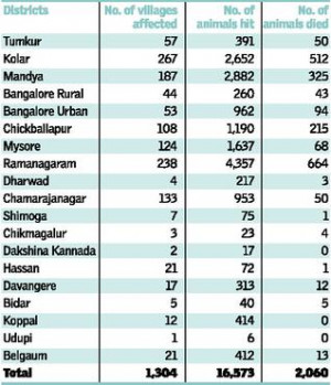 ... -and-mouth disease claims 2,060 cows; afflicts 16,573 head of cattle