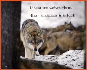 Wolf Sayings