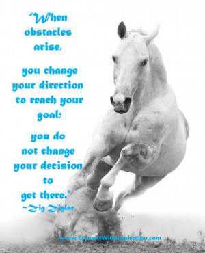 When obstacles arise, you change your direction to reach your goal;