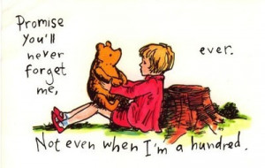 Winnie the Pooh