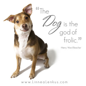The Dog Is The God Of Frolic - Inspirational Quote