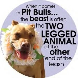 Quotes About Pit Bulls Pit-bull-with-flowers