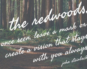 ... mark or create a vision that stays with you always. John Steinbeck