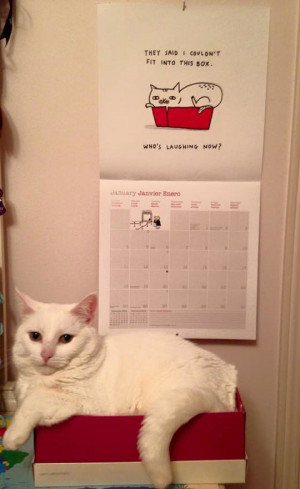 And Who’s Laughing Now?