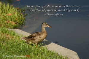 ... ; in matters of principle, stand like a rock. ~ Thomas Jefferson
